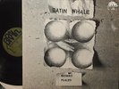 SATIN WHALE DESERT PLACES LP