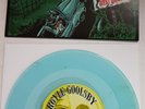Argyle Goolsby / The Big Bad The Wild And Woeful West Virginia 7'' Vinyl Record
