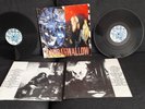 2X LP Hip Hop Italiano RADICAL STUFF Hardaswallow 1a stampa KAOS DJ SKIZO GRUFF