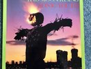 Sonic Youth - Bad Moon Rising - Vinyl LP - Homestead records/Blastfirst