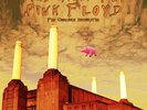 Pink Floyd For Chamber Orchestra - Pigs Might Fly: Clear Vinyl LP