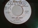 The Beatles ATCO White Label Promo Aint She Sweet Nobodys Child 45 6308