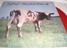 PINK FLOYD ATOM HEART MOTHER  LP COLORED VINYL