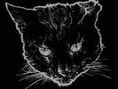 Crippled Black Phoenix - Horrific Honorifics