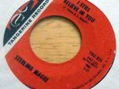STERLING MAGEE I Still Believe In You / Tighten Up  - Tangerine Records TRC 975