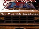 Gin Blossoms: New Miserable Experience LP