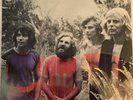 Vinyl record RARE LP - TAMAM SHUD - EVOLUTION 1st edition