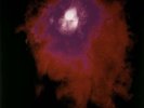 PORCUPINE TREE - Up the downstair    2 X Vinyl   ungespielt   Steven Wilson