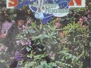 Savoy Brown - A Step Further (LP)