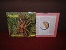 THE WEB Theraphosa Blondi LP 1969 DERAM 1st Press  MINT   MONO