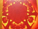 LP /BOARDS OF CANADA /GEOGADDI/ 3 LPS