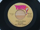 GIANT JELLYBEAN COPOUT Awake In A Dream/Look At The Girls 45 Pop Psych HEAR
