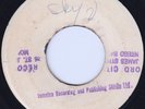 DELROY WILSON - ONE ONE/ NEW ESTABLISHMENT - ADIS A WA WA CUT TO SKYLARKING