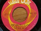 THE SOUL NOTES How Long Will It Last/Don't Make Me Beg Northern Soul 45