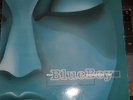 THE BLUEBOY REMEMBER ME 12