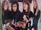 Metallica - Vinyl 12