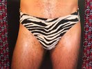 Hunx and His Punx “Gay Singles” original True Panther Garage Power Pop Reatard