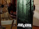 THE CURE A FOREST PROMO POSTER, JOY DIVISION, THE SMITHS, ADVERT, SEX PISTOLS