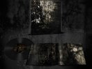 Blut Aus Nord - MoRT LP Black Metal Vinyl