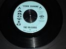 The Volcanos - storm warning - Arctic