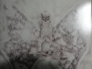 2LP. CANARIOS – CICLOS