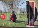 2LP 