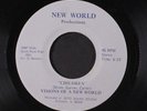 VISIONS OF A NEW WORLD: Children / We Make It 45 Hear  (Chicago Modern Soul Dis