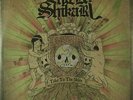 Enter Shikari - Take To The Skies [Vinyl]