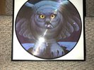 RUSH Fly By Night Picture Disc Near Mint Condition