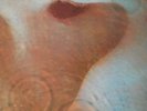 PINK FLOYD - MEDDLE - UK - MINT-NM