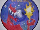 Less Than Jake Losing Streak Picture Disc 12