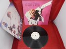 Vinyl Record 12” LP Album A NEW FLAME SIMPLY RED (19)