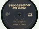 STEWART, Roman/LINVAL THOMPSON - What You Wanna Do - Vinyl (12