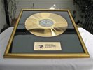 Erste Allgemeine Verunsicherung - Kann denn Schwachsinn Sünde sein ? - Gold LP