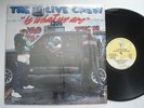 2 LIVE CREW Is What We Are EX LUKE SKYYWALKER XR-100 Original LP