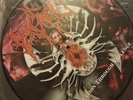 DYING FETUS**Purification Through Violence**picture disc / lp*black dahlia