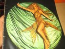 SYLVIE VARTAN  PROGRAMME DE CONCERT