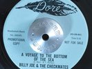 GARAGE 45 - BILLY JOE & THE CHECKMATES VOYAGE TO THE BOTTOM OF THE SEA PROMO Mp3