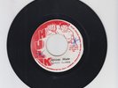 HULK/ AFRICAN ROOTS  -  JOHNNY CLARKE  (76 REGGAE ROOTS 7