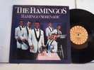 VG++ THE FLAMINGOS / 