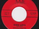 New York Rockabilly / Teen Rocker 45- BRUCE PORTER - Babe Love / I'm Not Ashamed