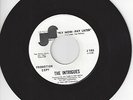 70’S SOUL 45-THE INTRIGUES-FLY NOW-PAY LATER-JANUS-DJ