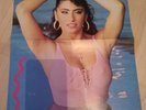 Sabrina Salerno Sting Poster