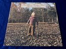 ALLMAN BROTHERS  BROTHERS AND SISTERS  RARE PROMO  CAPRICORN 0111  ROCK  LP