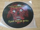 carcass   -   flesh ripping demos  -   LP   - picture disc - napalm death