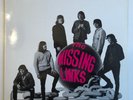 The Missing Links - The Missing Links - Raven Records ?– RVLP-19 - Vin.- MINT/EX
