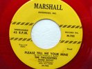 TWILIGHTERS 45 Please tell me your mine / Wondering MARSHALL Doowop Kz136