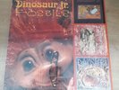 Dinosaur Jr Fossils Vinyl Album US 12