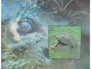 FRANKIE GOES TO HOLLYWOOD Watching The Wildlife 12