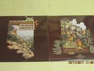 JACKSON HEIGHTS-ragamuffins fool-LP reissue of 1972-progressive Rock